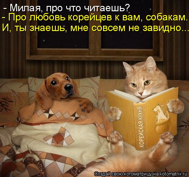 - Милая, про что читаешь? - Про любовь корейцев к вам, собакам... И, ты знаешь, мне совсем не завидно... Котоматрица: - Милая, про что читаешь? - Про любовь корейцев к вам, собакам... И, ты знаешь, мне совсем не завидно...