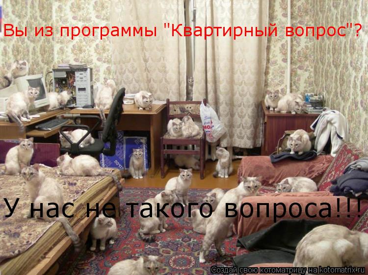 Котоматрица: Вы из программы "Квартирный вопрос"? У нас не такого вопроса!!!