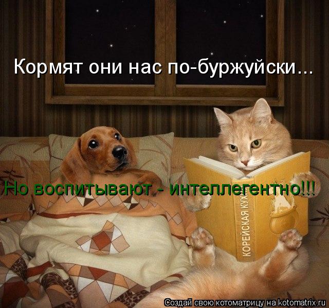 Котоматрица: Кормят они нас по-буржуйски... Но воспитывают - интеллегентно!!!