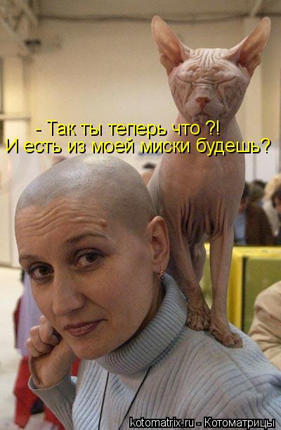 Котоматрица: - Так ты теперь что ?!  И есть из моей миски будешь?
