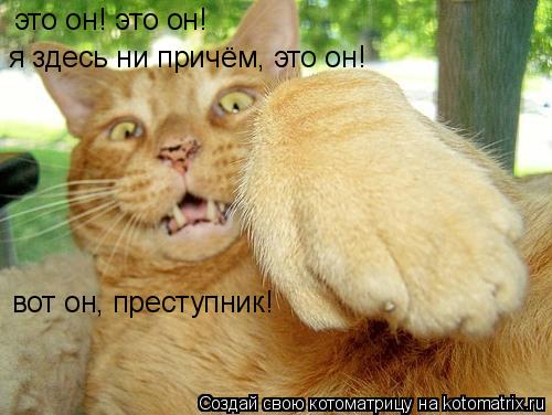 Котоматрица: это он! это он! я здесь ни причём, это он! вот он, преступник!