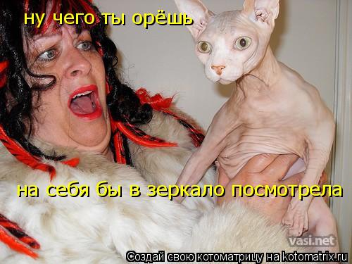 Котоматрица: ну чего ты орёшь ну чего ты орёшь,на себя бы в зеркало посмотрела на себя бы в зеркало посмотрела