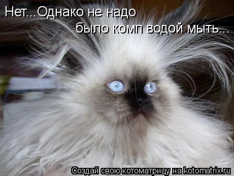 Котоматрица: Нет...Однако не надо  было комп водой мыть...
