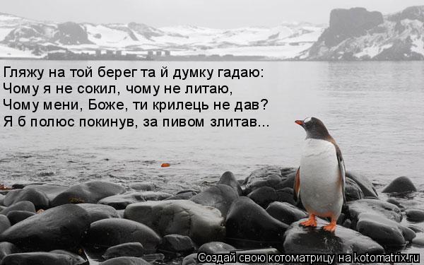 Гляжу на той берег та й думку гадаю: Чому я не сокил, чому не литаю, Чому мени, Боже, ти крилець не ... Котоматрица: Гляжу на той берег та й думку гадаю: Чому я не сокил, чому не литаю, Чому мени, Боже, ти крилець не дав? Я б полюс покинув, за пивом злитав...