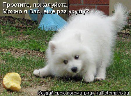 Котоматрица: Простите, пожалуйста, Можно я Вас, еще раз укушу?