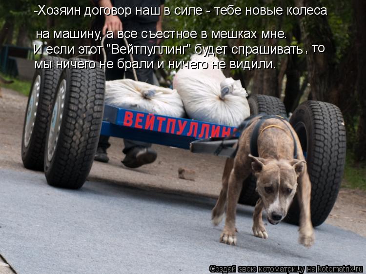 Котоматрица: на машину, а все съестное в мешках мне. -Хозяин договор наш в силе - тебе новые колеса И если этот "Вейтпуллинг" будет спрашивать  , то мы ничег