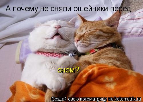 Котоматрица: А почему не сняли ошейники перед сном?