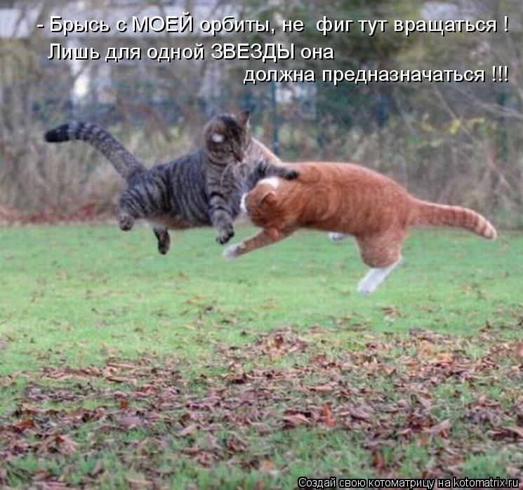 - Брысь с МОЕЙ орбиты, не фиг тут вращаться ! Лишь для одной ЗВЕЗДЫ она должна предназначаться !!!... Котоматрица: - Брысь с МОЕЙ орбиты, не фиг тут вращаться ! Лишь для одной ЗВЕЗДЫ она должна предназначаться !!!