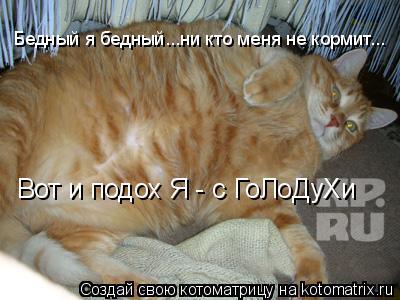 Котоматрица: Бедный я бедный...ни кто меня не кормит... Вот и подох Я - с ГоЛоДуХи