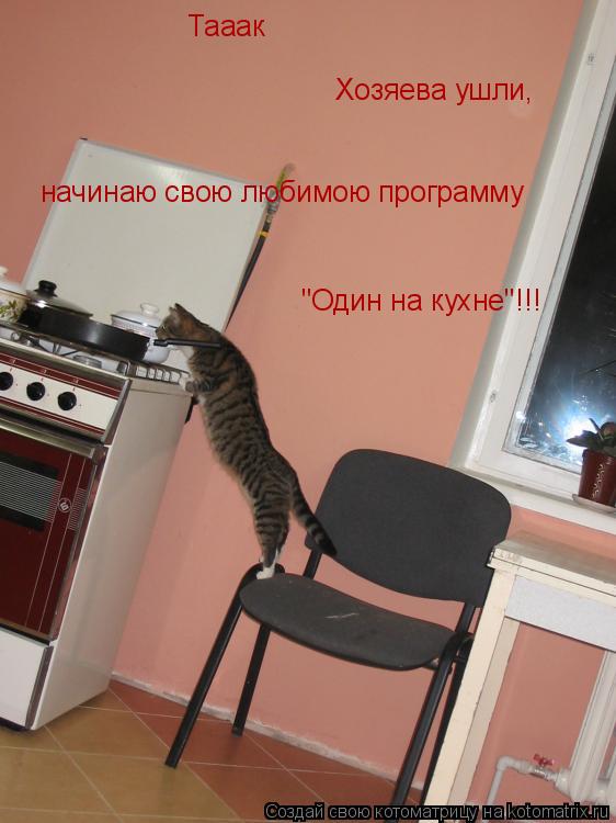 Котоматрица: начинаю свою любимою программу Хозяева ушли, Тааак "Один на кухне" !!!