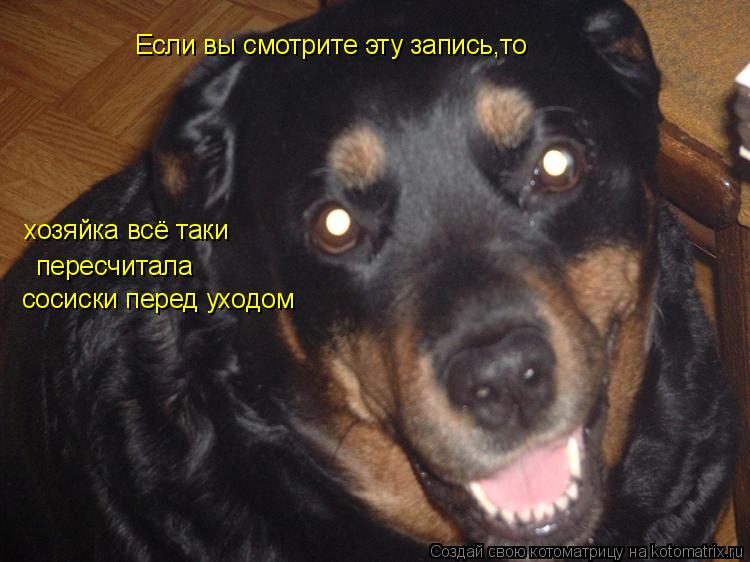Котоматрица: Если вы смотрите эту запись,то хозяйка всё таки  пересчитала сосиски перед уходом