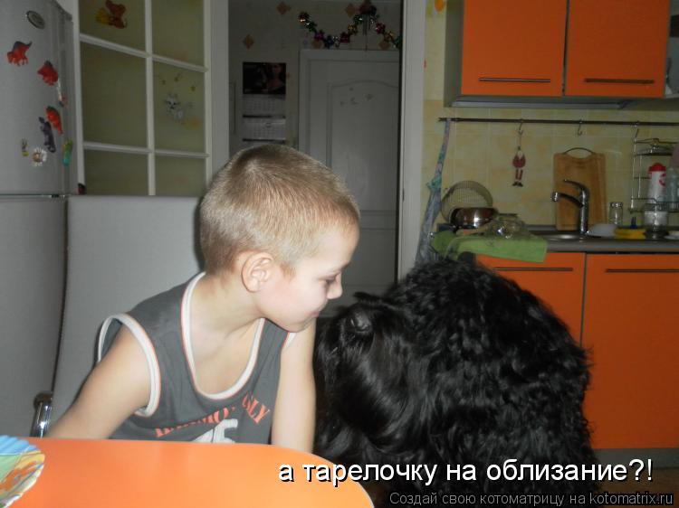 Котоматрица: а тарелочку на облизание?!