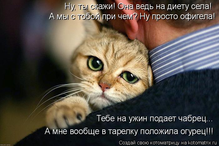 Котоматрица: Ну, ты скажи! Она ведь на диету села! А мы с тобой при чем? Ну просто офигела! Тебе на ужин подает чабрец... А мне вообще в тарелку положила огур