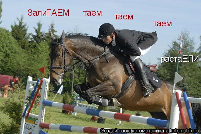 Котоматрица: ЗалиТАЕМ таем таем таем растаЕЛИ
