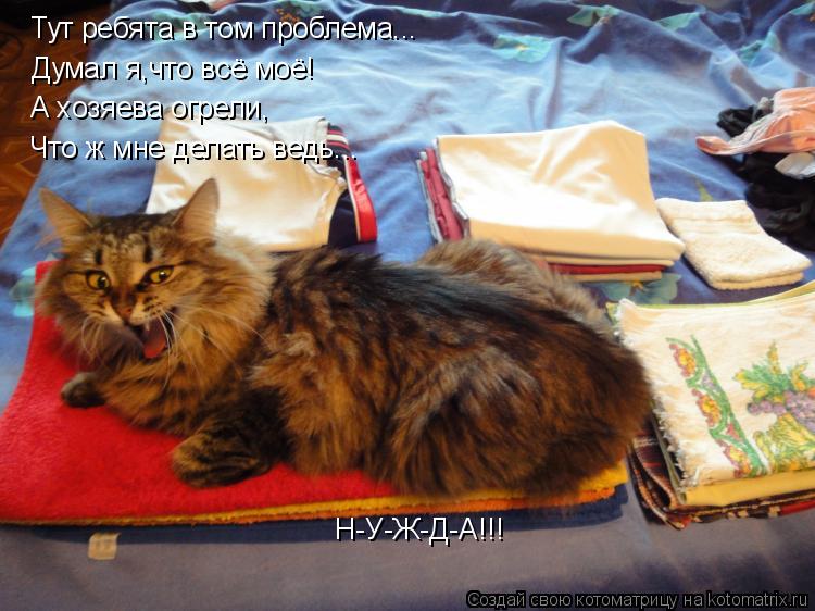 Котоматрица: Тут ребята в том проблема... Думал я,что всё моё! А хозяева огрели, Что ж мне делать ведь... Н-У-Ж-Д-А!!!