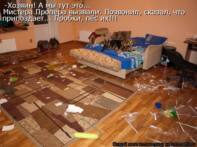 Котоматрица: -Хозяин! А мы тут это...  Мистера Пропера вызвали. Позвонил, сказал, что  припоздает... Пробки, пёс их!!!