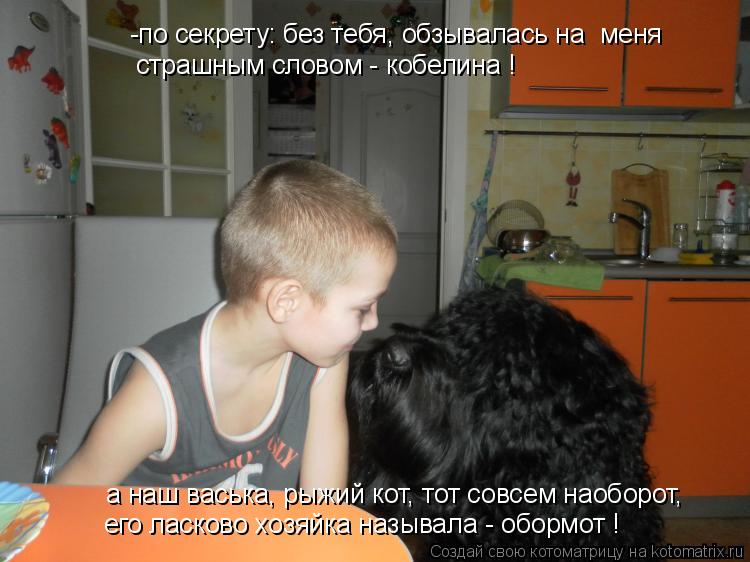 Котоматрица: а наш васька, рыжий кот, тот совсем наоборот, -по секрету: без тебя, обзывалась на  меня его ласково хозяйка называла - обормот ! страшным слов