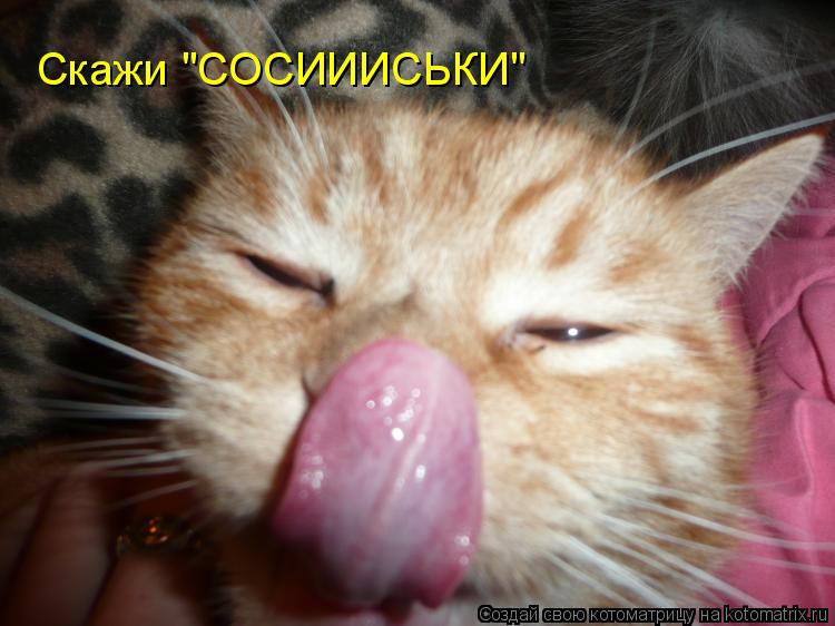 Котоматрица: Скажи "СОСИИИСЬКИ"