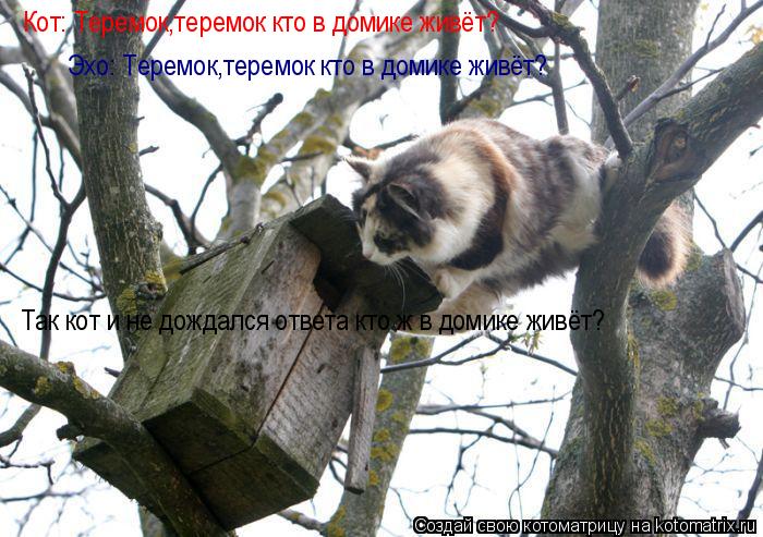 Котоматрица: Кот: Теремок,теремок кто в домике живёт? Эхо: Теремок,теремок кто в домике живёт? Так кот и не дождался ответа кто ж в домике живёт?