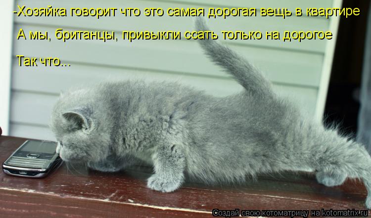 -Хозяйка говорит что это самая дорогая вещь в квартире А мы, британцы, привыкли ссать только на дорог... Котоматрица: -Хозяйка говорит что это самая дорогая вещь в квартире А мы, британцы, привыкли ссать только на дорогое Так что...
