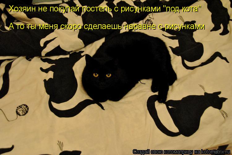 А то ты меня скоро сделаешь наравне с рисунками Хозяин не покупай постель с рисунками "под кота"... Котоматрица: А то ты меня скоро сделаешь наравне с рисунками Хозяин не покупай постель с рисунками "под кота"
