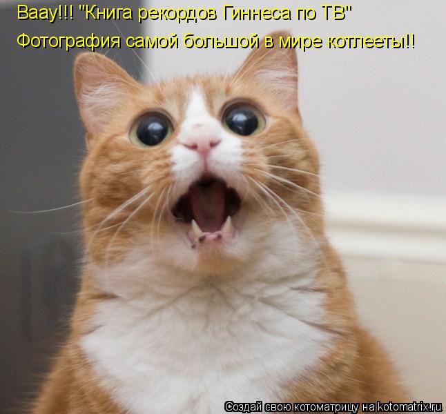 Котоматрица: Ваау!!! "Книга рекордов Гиннеса по ТВ" Фотография самой большой в мире котлееты!!