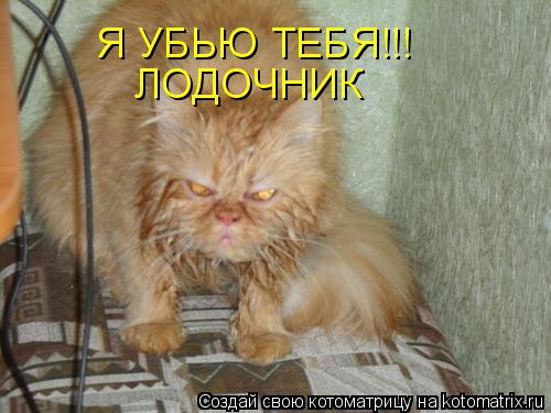 Котоматрица: Я УБЬЮ ТЕБЯ!!! ЛОДОЧНИК