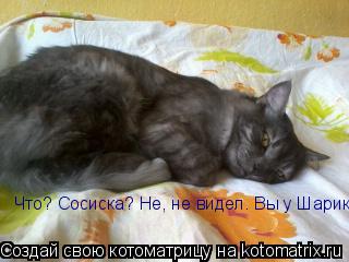 Котоматрица: Что? Сосиска? Не, не видел. Вы у Шарика в миске посмотрите:)