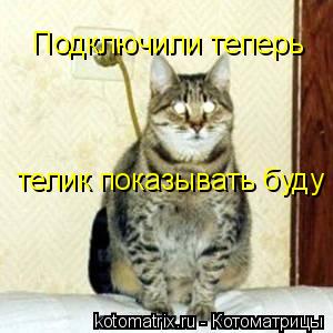 Котоматрица: Подключили теперь  телик показывать буду