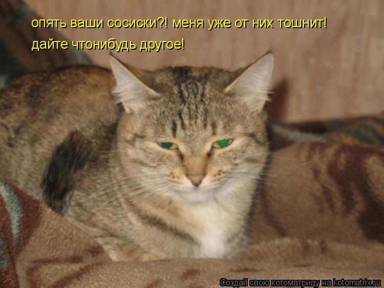 Котоматрица: опять ваши сосиски?! меня уже от них тошнит! дайте чтонибудь другое!