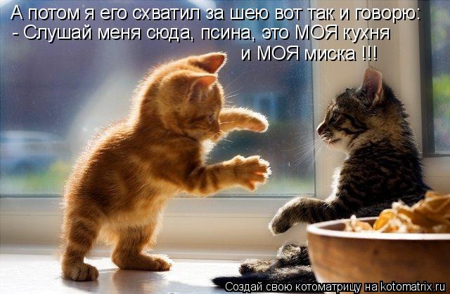 А потом я его схватил за шею вот так и говорю: - Слушай меня сюда, псина, это МОЯ кухня и МОЯ миска !... Котоматрица: А потом я его схватил за шею вот так и говорю: - Слушай меня сюда, псина, это МОЯ кухня и МОЯ миска !!!