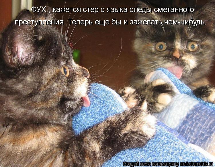 - ФУХ , кажется стер с языка следы сметанного преступления. Теперь еще бы и зажевать чем-нибудь.... Котоматрица: - ФУХ , кажется стер с языка следы сметанного преступления. Теперь еще бы и зажевать чем-нибудь.