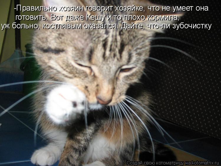 -Правильно хозяин говорит хозяйке, что не умеет она готовить. Вот даже Кешу и то плохо кормила, уж б... Котоматрица: -Правильно хозяин говорит хозяйке, что не умеет она готовить. Вот даже Кешу и то плохо кормила, уж больно, костлявым оказался. Дайте, что-ли з
