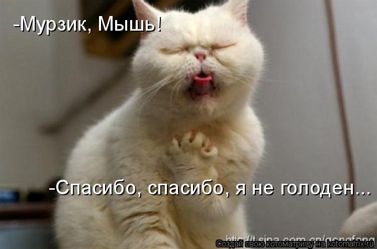 -Мурзик, Мышь! -Спасибо, спасибо, я не голоден...... Котоматрица: -Мурзик, Мышь! -Спасибо, спасибо, я не голоден...