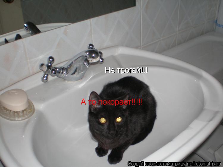 Не трогай!!! А то покорает!!!!!... Котоматрица: Не трогай!!! А то покорает!!!!!