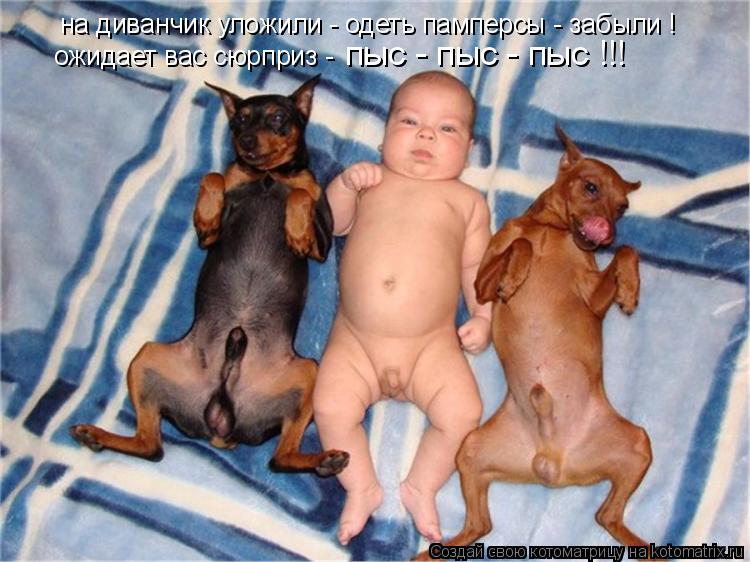 на диванчик уложили - одеть памперсы - забыли ! ожидает вас сюрприз - пыс - пыс - пыс !!!... Котоматрица: на диванчик уложили - одеть памперсы - забыли ! ожидает вас сюрприз - пыс - пыс - пыс !!!