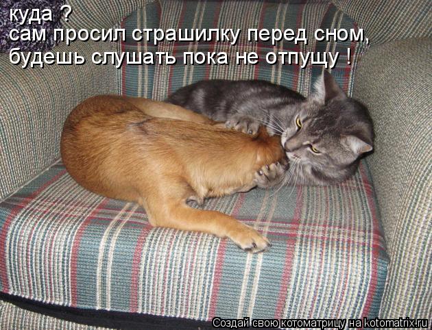 куда ? сам просил страшилку перед сном, будешь слушать пока не отпущу !... Котоматрица: куда ? сам просил страшилку перед сном, будешь слушать пока не отпущу !