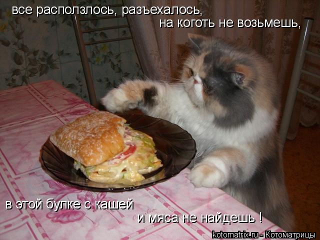 все расползлось, разъехалось, на коготь не возьмешь, в этой булке с кашей и мяса не найдешь !... Котоматрица: все расползлось, разъехалось, на коготь не возьмешь, в этой булке с кашей и мяса не найдешь !