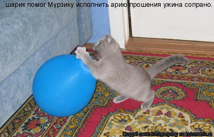 шарик помог Мурзику исполнить арию прошения ужина сопрано.... Котоматрица: шарик помог Мурзику исполнить арию прошения ужина сопрано.