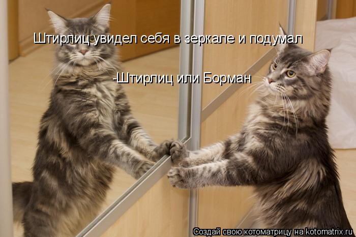 Штирлиц увидел себя в зеркале и подумал -Штирлиц или Борман... Котоматрица: Штирлиц увидел себя в зеркале и подумал -Штирлиц или Борман