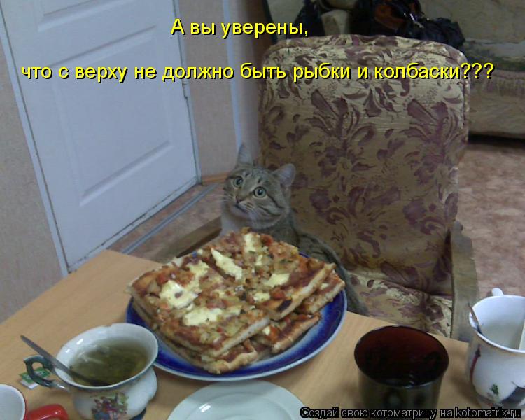 А вы уверены, что с верху не должно быть рыбки и колбаски???... Котоматрица: А вы уверены, что с верху не должно быть рыбки и колбаски???
