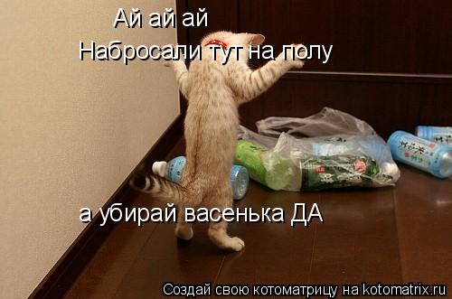 Ай ай ай Набросали тут на полу а убирай васенька ДА... Котоматрица: Ай ай ай Набросали тут на полу а убирай васенька ДА