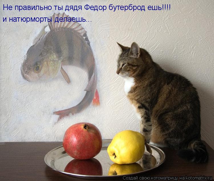 Не правильно ты дядя Федор бутерброд ешь!!!! и натюрморты делаешь...... Котоматрица: Не правильно ты дядя Федор бутерброд ешь!!!! и натюрморты делаешь...