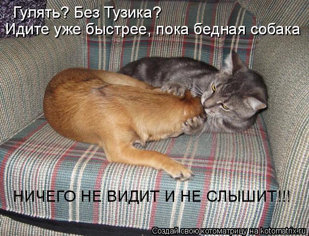 Гулять? Без Тузика? Идите уже быстрее, пока бедная собака НИЧЕГО НЕ ВИДИТ И НЕ СЛЫШИТ!!!... Котоматрица: Гулять? Без Тузика? Идите уже быстрее, пока бедная собака НИЧЕГО НЕ ВИДИТ И НЕ СЛЫШИТ!!!