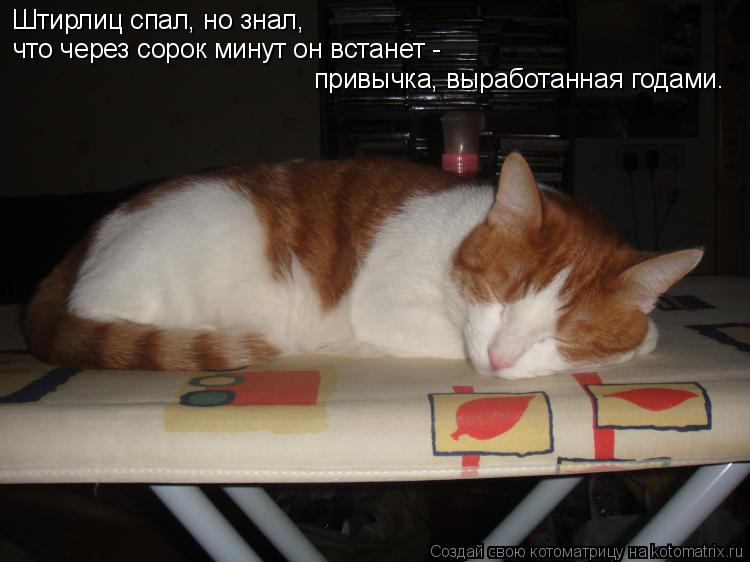 Котоматрица: Штирлиц спал, но знал,  что через сорок минут он встанет -  привычка, выработанная годами.