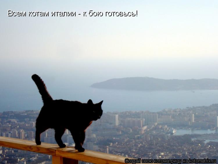 Котоматрица: Всем котам италии - к бою готовьсь!