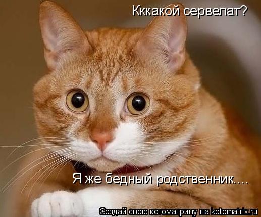 Котоматрица: Кккакой сервелат? Я же бедный родственник....