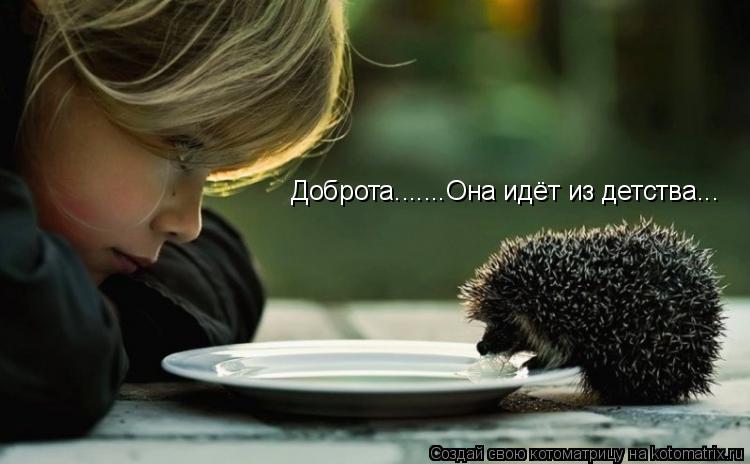 Котоматрица: Доброта.......Она идёт из детства...