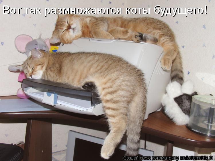 Котоматрица: Вот так размножаются коты будущего!