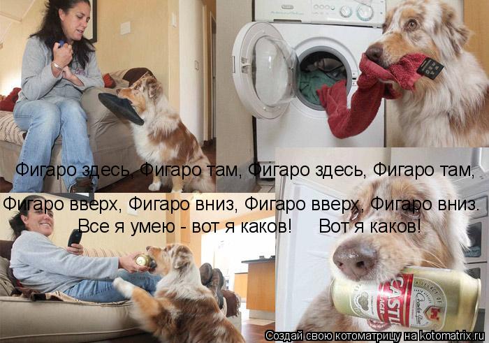 Котоматрица: Все я умею - вот я каков!     Вот я каков! Фигаро здесь, Фигаро там, Фигаро здесь, Фигаро там,  Фигаро вверх, Фигаро вниз, Фигаро вверх, Фигаро вни